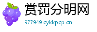 赏罚分明网